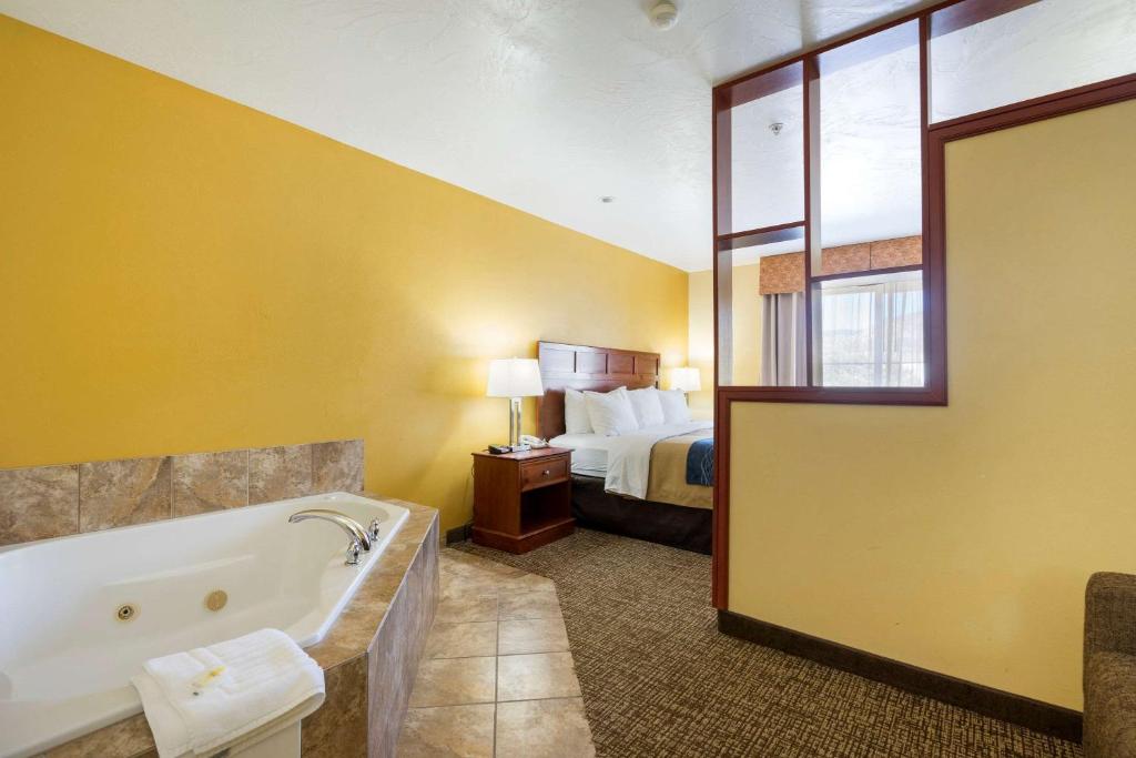 Comfort Inn and Suites Cedar City - image 3