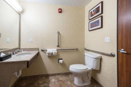 Comfort Inn and Suites Cedar City - image 7