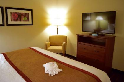 Best Western Town and Country Inn - image 12