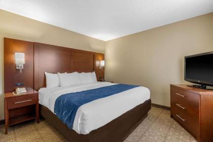 Comfort Suites Cedar Falls - image 11