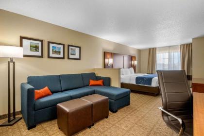 Comfort Suites Cedar Falls - image 14