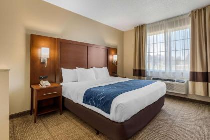 Comfort Suites Cedar Falls - image 15