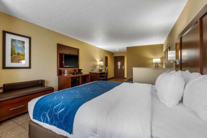 Comfort Suites Cedar Falls - image 7