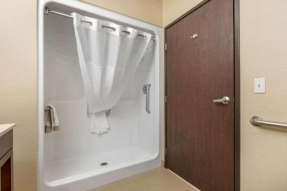 Comfort Suites Cedar Falls - image 9