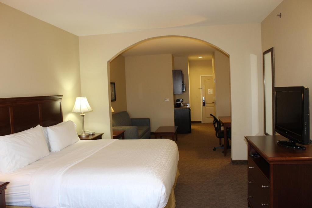 Holiday Inn Express Hotel & Suites Cedar Hill an IHG Hotel - image 2