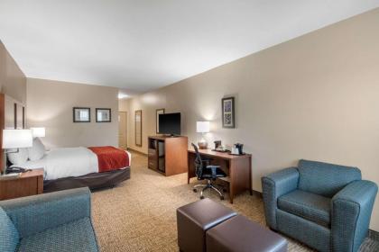 Comfort Inn & Suites Cedar Hill Duncanville - image 14