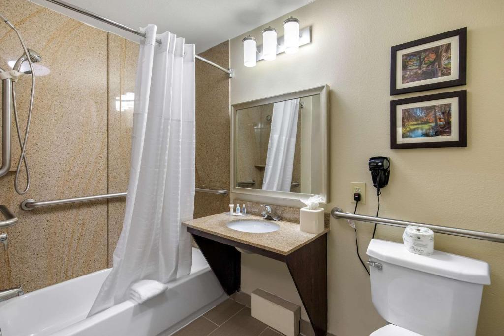 Comfort Inn & Suites Cedar Hill Duncanville - image 3