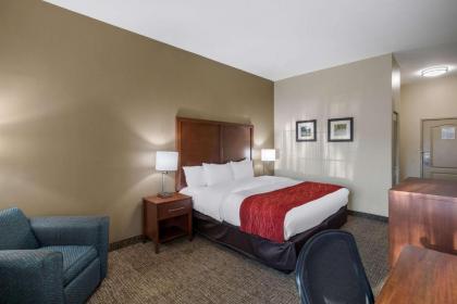 Comfort Inn & Suites Cedar Hill Duncanville - image 7
