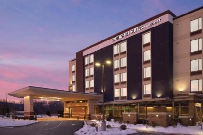 SpringHill Suites by Marriott Allentown Bethlehem/Center Valley - image 14