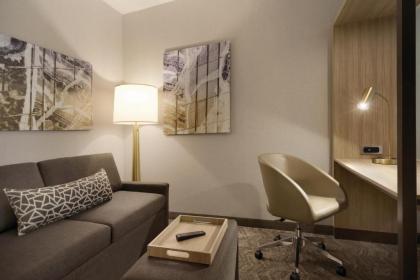 SpringHill Suites by Marriott Allentown Bethlehem/Center Valley - image 7