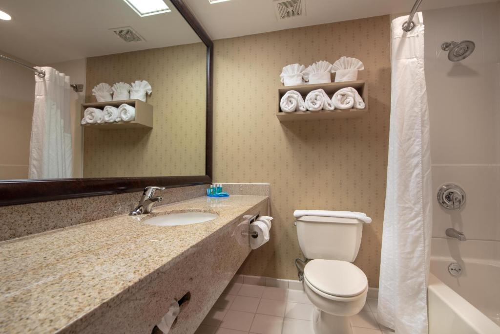 Holiday Inn Express Stony Brook-Long Island an IHG Hotel - image 6