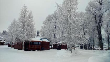 Chama River Bend Lodge - image 11