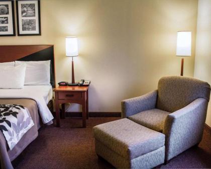 Quality Inn & Suites - image 9