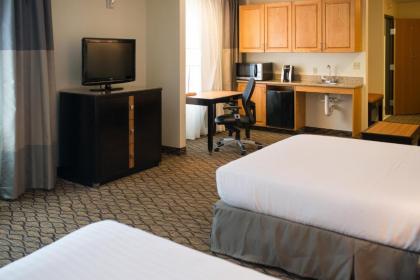 Holiday Inn Express Hotel & Suites Chanhassen an IHG Hotel - image 12