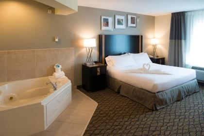 Holiday Inn Express Hotel & Suites Chanhassen an IHG Hotel - image 14