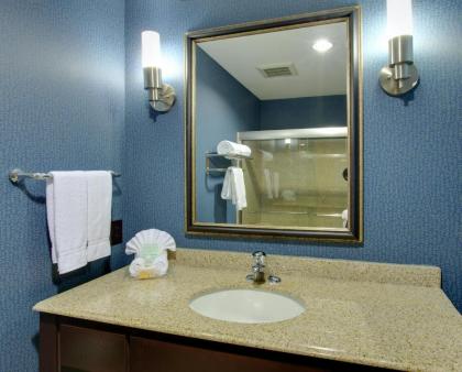 Holiday Inn Channelview an IHG Hotel - image 3