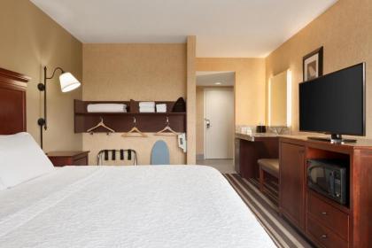 Hampton Inn Washington-Dulles International Airport South - image 3