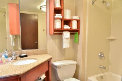 Hampton Inn Charleston Downtown - image 16