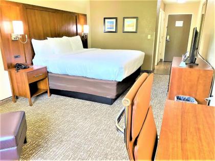 Comfort Inn - image 10