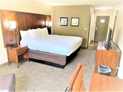 Comfort Inn - image 11