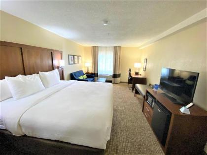 Comfort Inn - image 14