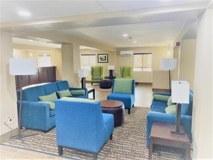 Comfort Inn - image 15