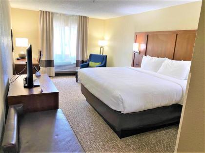 Comfort Inn - image 9