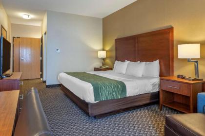 Comfort Inn Charlotte - image 10