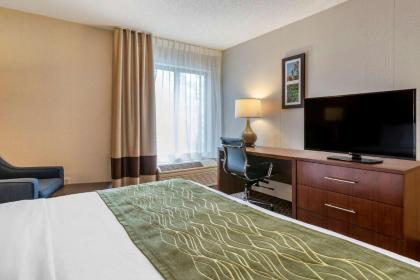 Comfort Inn Charlotte - image 12