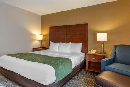 Comfort Inn Charlotte - image 13