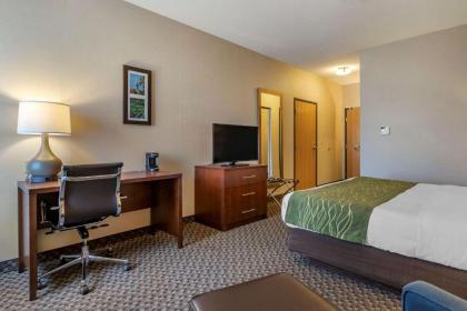 Comfort Inn Charlotte - image 3