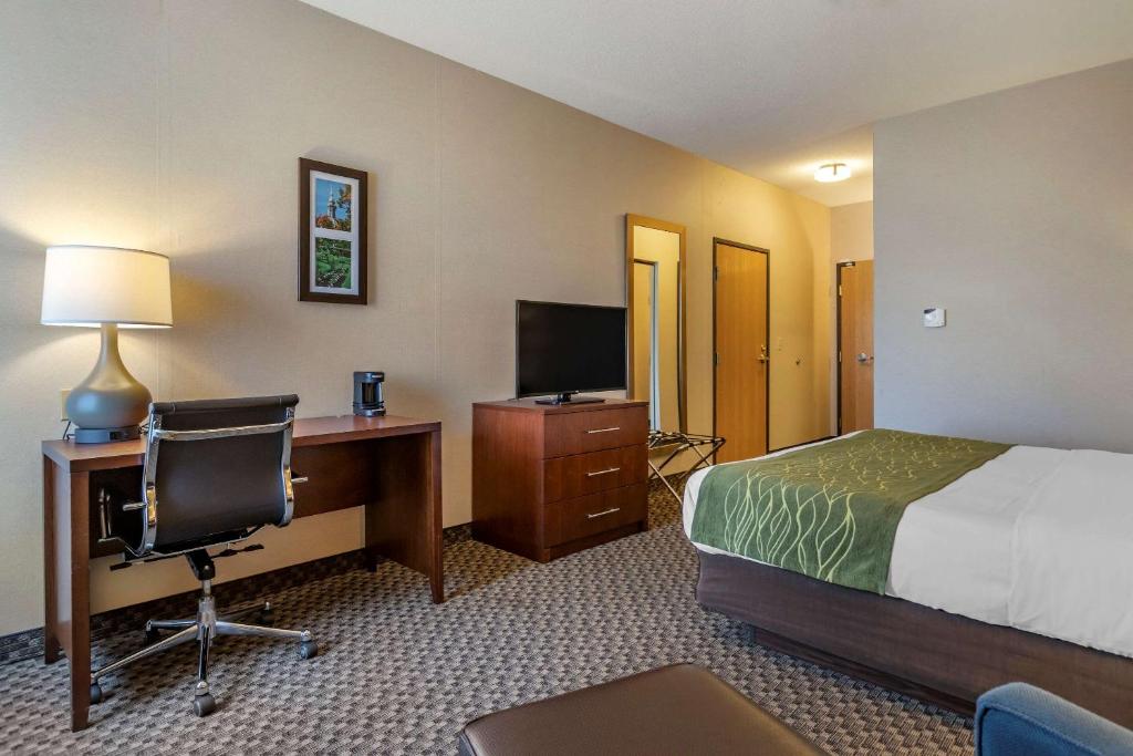 Comfort Inn Charlotte - image 3