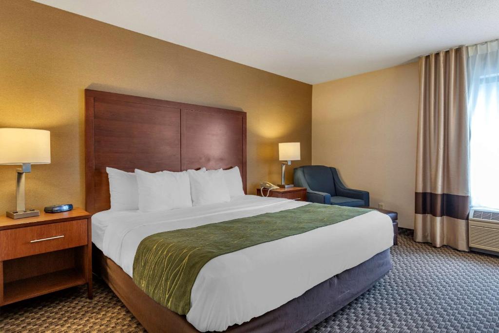 Comfort Inn Charlotte - image 7