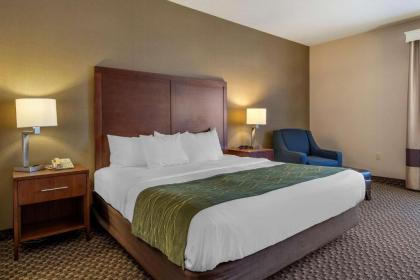 Comfort Inn Charlotte - image 8