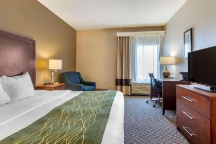 Comfort Inn Charlotte - image 9