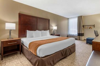 Comfort Inn Charlotte Airport Uptown - image 5