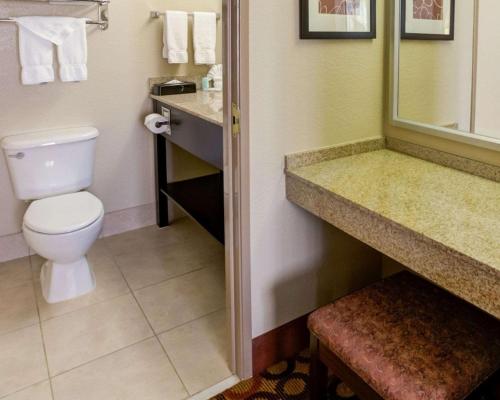 Comfort Suites Airport Charlotte - image 2