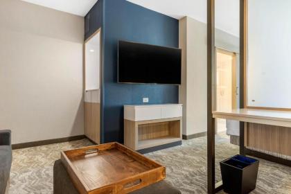 SpringHill Suites Charlotte Southwest - image 11