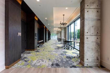 Hyatt Centric Charlotte SouthPark - image 13