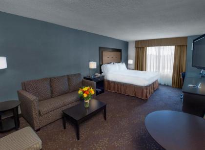 Holiday Inn Express & Suites Buffalo Airport an IHG Hotel - image 19