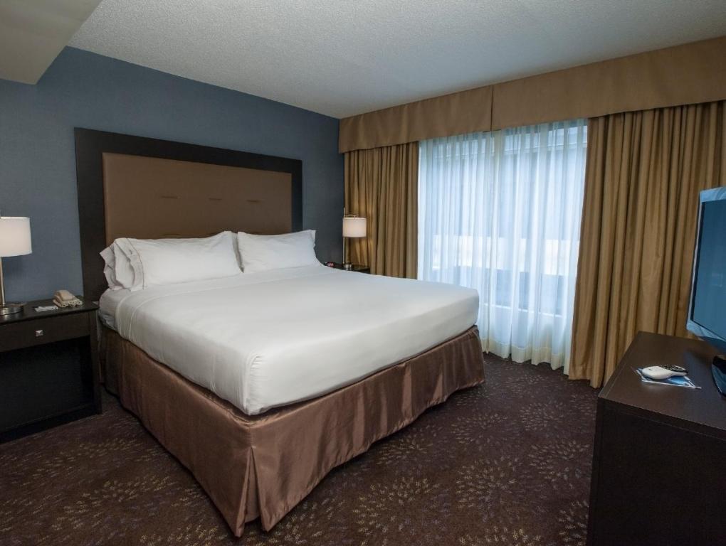 Holiday Inn Express & Suites Buffalo Airport an IHG Hotel - image 5