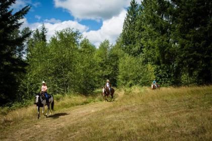 Chehalis Camping Resort Studio Cabin 3 - image 13