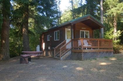 Chehalis Camping Resort Studio Cabin 4 - image 1