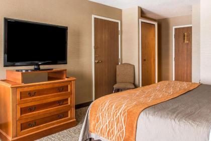 Comfort Inn Chelsea - image 7