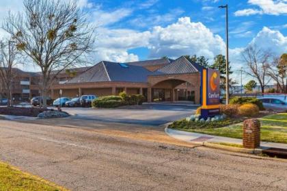 Comfort Suites Chesapeake - Norfolk - image 5