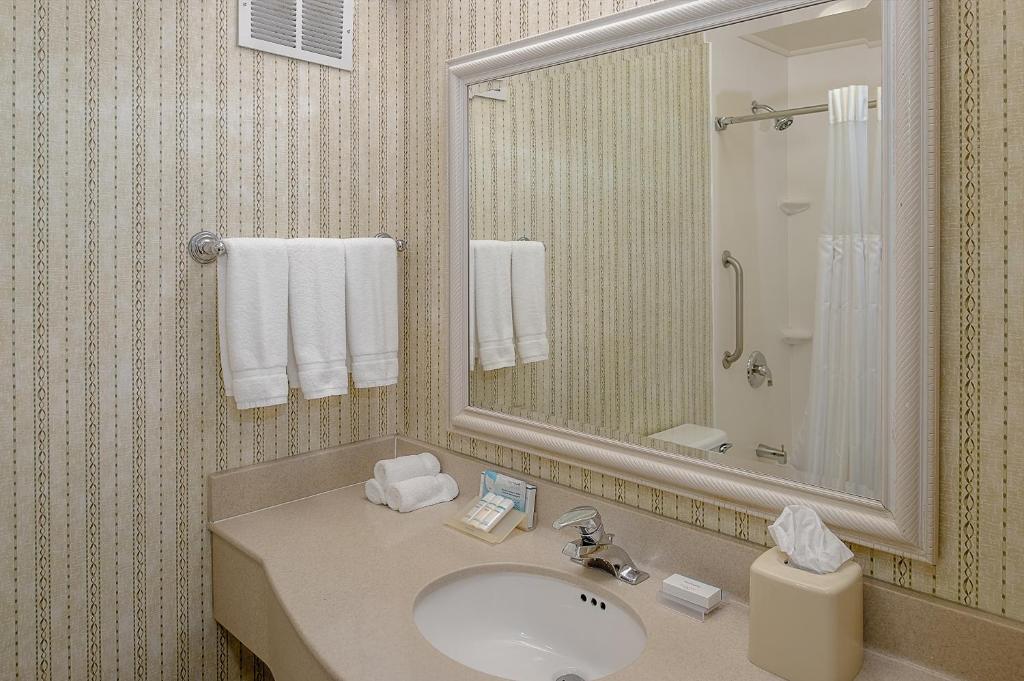 Hilton Garden Inn St. Louis/Chesterfield - image 3