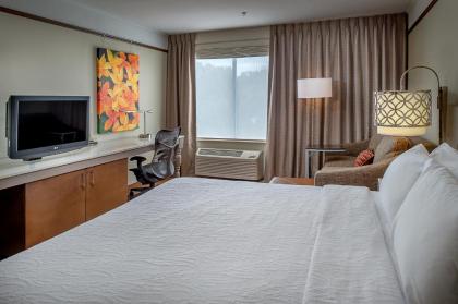 Hilton Garden Inn St. Louis/Chesterfield - image 4