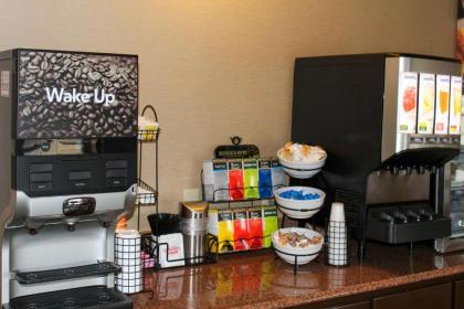 Comfort Inn & Suites - Chesterfield - image 3