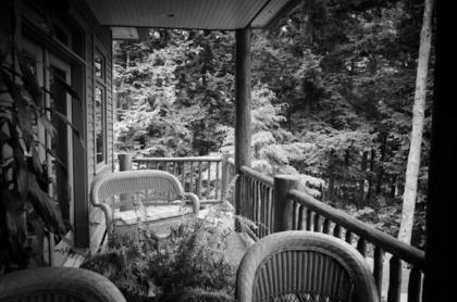 The Fern Lodge - image 14