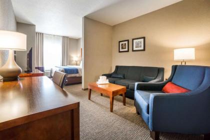 Comfort Inn & Suites Cheyenne - image 10